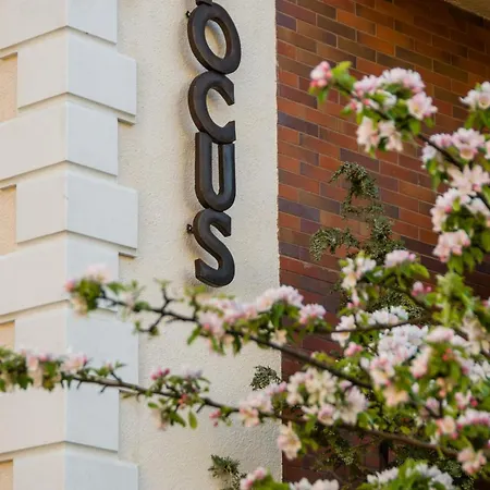 Homestay szállás Focus