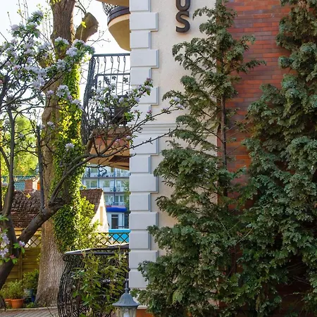 Homestay szállás Focus