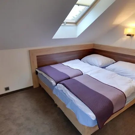 Focus Mielno (Koszalin)