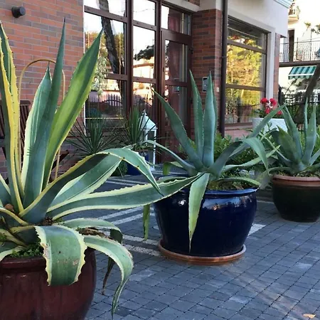 בית אירוח Focus *