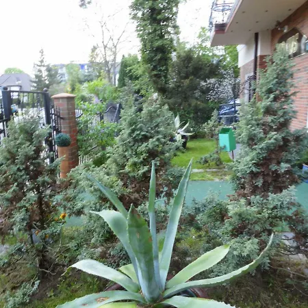 Focus בית אירוח