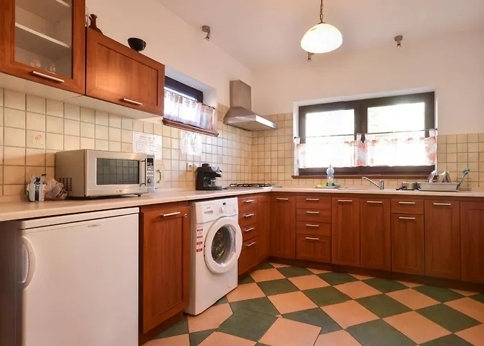 Focus * Mielno (Koszalin)