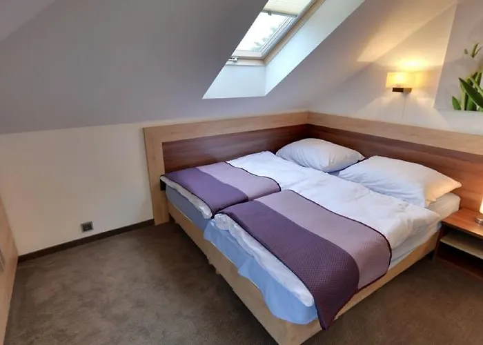 Focus Mielno (Koszalin)