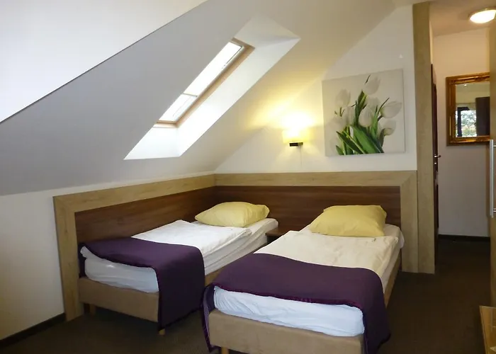 Focus Mielno (Koszalin)