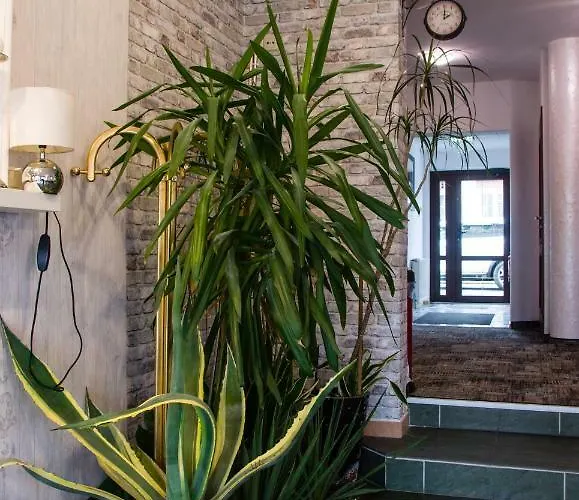 Séjour chez l'habitant Focus Mielno (Koszalin)